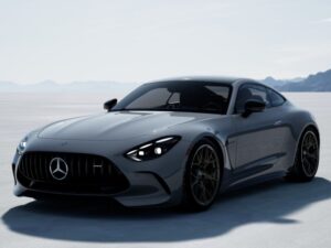 Nobody had any idea how far they would go after the creation of the Mercedes-Benz company; here is an AMG GT to indicate how far they made it!